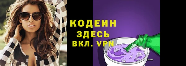 гашик Лабытнанги
