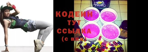 гашик Лабытнанги