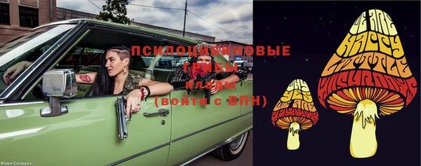 ГАЛЛЮЦИНОГЕННЫЕ ГРИБЫ Лихославль