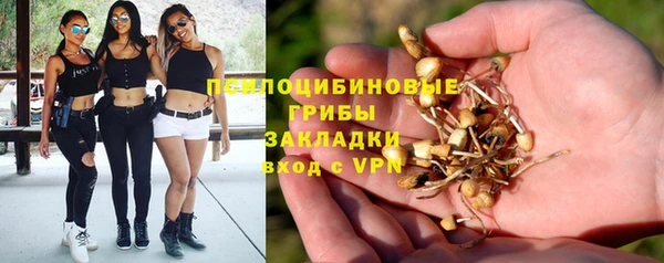 гашик Лабытнанги