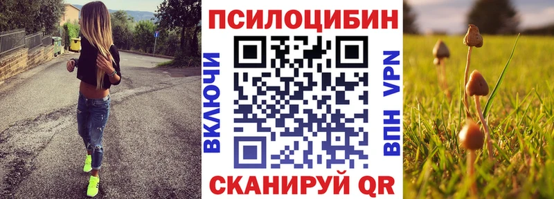 купить   Лебедянь  Псилоцибиновые грибы мухоморы 